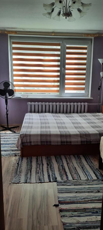Day & Night Anyksciai Apartment Bagian luar foto
