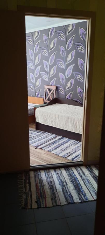 Day & Night Anyksciai Apartment Bagian luar foto