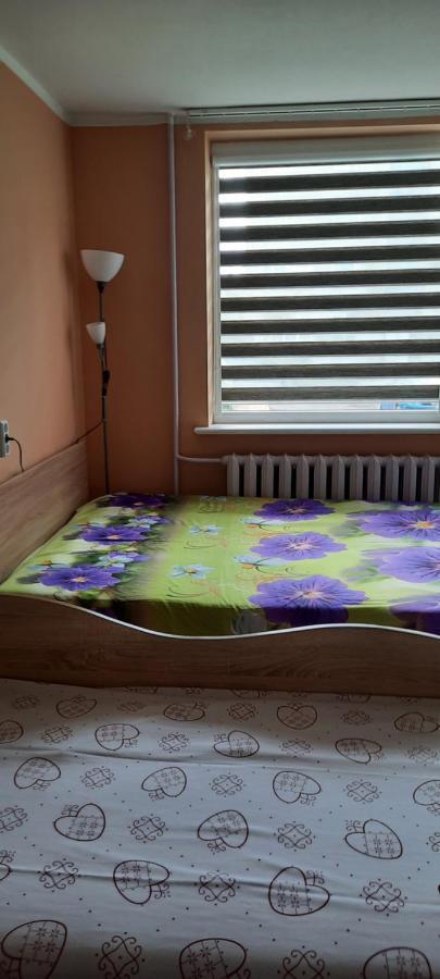 Day & Night Anyksciai Apartment Bagian luar foto