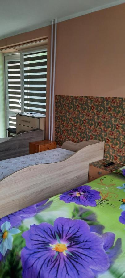 Day & Night Anyksciai Apartment Bagian luar foto